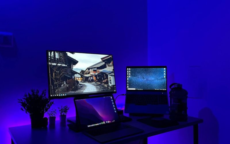 handle-pdfs-like-a-pro-for-life-with-this-$25-tool