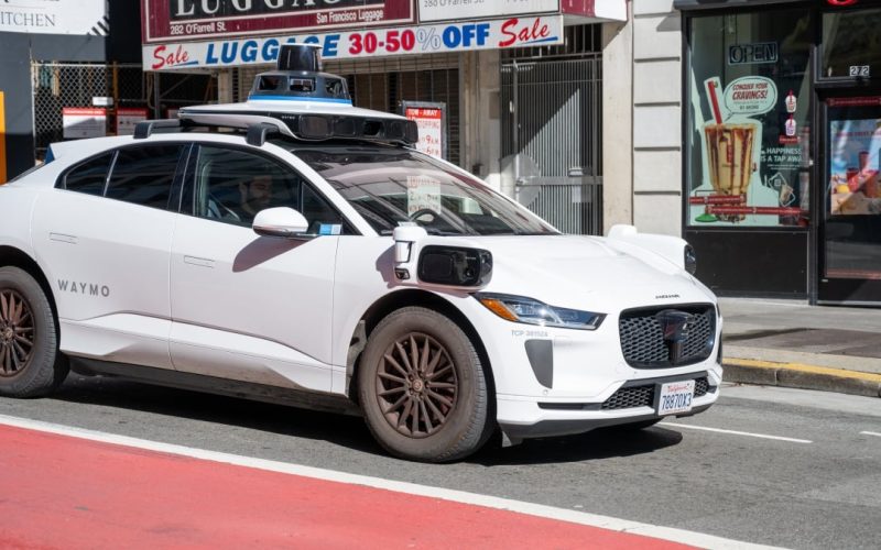 social-media-mourns-beloved-cat-hit-by-waymo-car